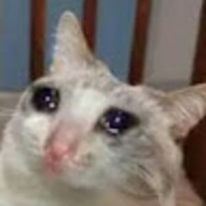 Meet your Posher, Brendan